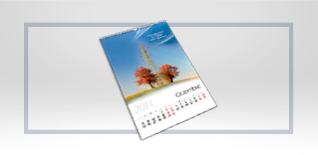 Calendare perete 12 file,format 470/320 mm